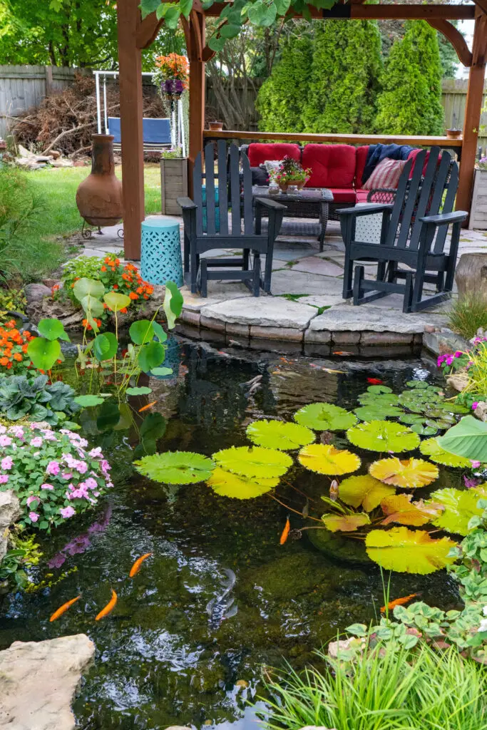 A backyard patio with black chairs, a table, and red cushions overlooks a small pond with orange koi fish, lily pads, and colorful flowers. A chiminea and lush greenery surround the relaxing garden scene.