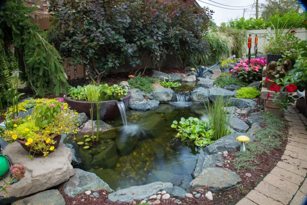 A backyard garden with a small pond featuring two waterfalls, surrounded by rocks, lush green plants, and colorful flowers. A curved brick pathway runs beside the pond, and a wooden fence is in the background.