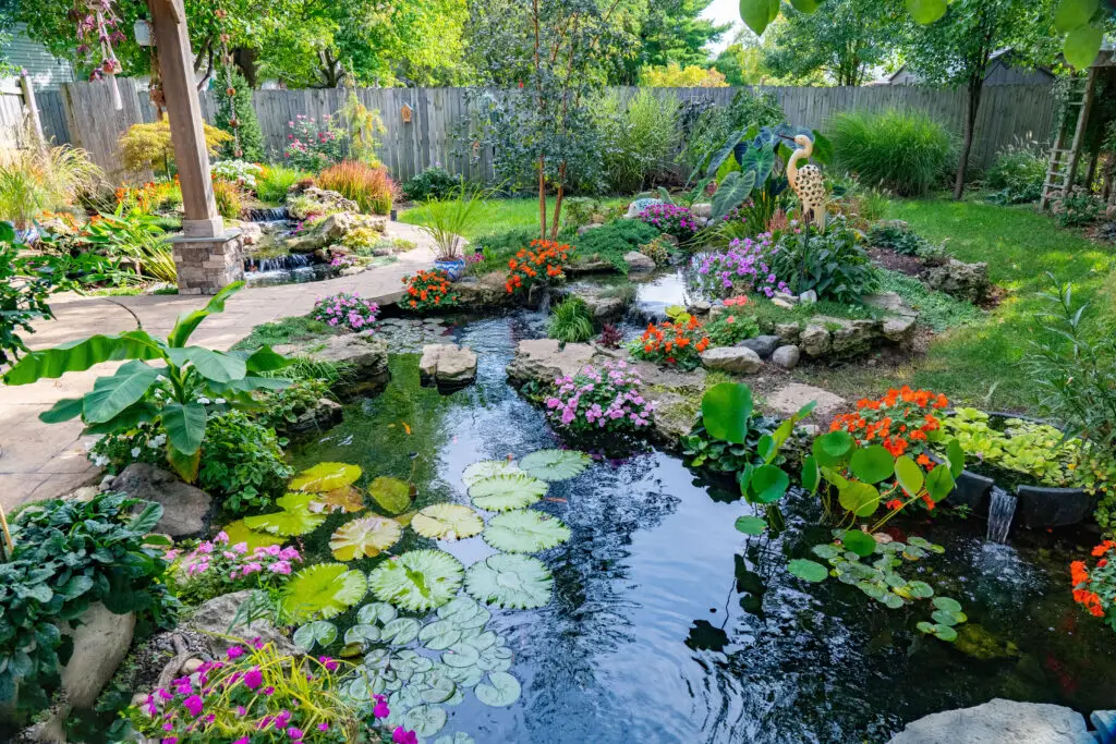 A backyard garden with a pond filled with water lilies, surrounded by colorful flowers, green plants, rocks, and a stone path. A wooden pergola stands on the left, and a wooden fence encloses the yard.