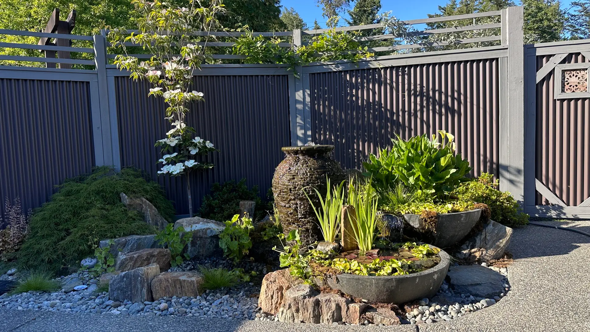 A small garden with a backyard fountain as the centerpiece, water trickling down a large jug and attracting Vancouver Island birds. Surrounded by rocks, green plants, and a tall privacy fence under clear sunlight.