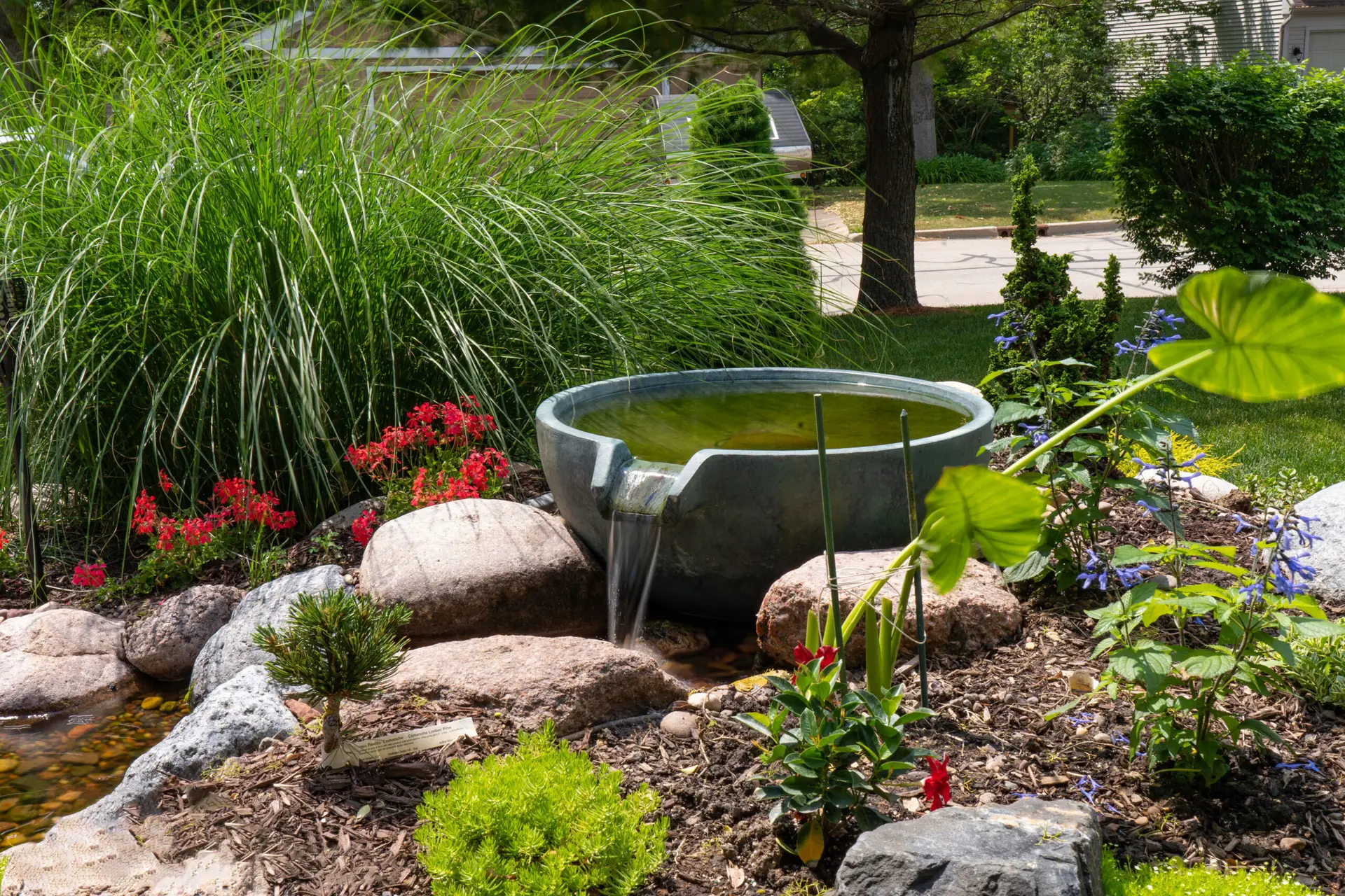 A small garden pond with a large ceramic bowl yard fountain, surrounded by rocks, red and blue flowers, tall grasses, and green plants, creates a bird-friendly yard designed to attract birds in a landscaped backyard.