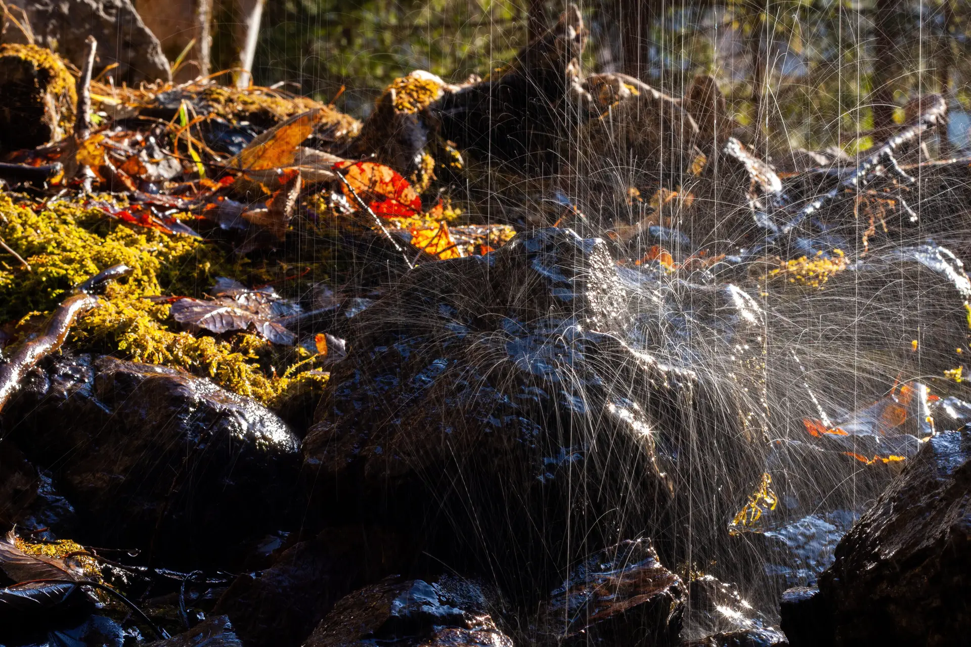 Water droplets spray and splash over moss-covered rocks and fallen autumn leaves near a woodland fountain in a sunlit forest, creating a dynamic and sparkling effect.