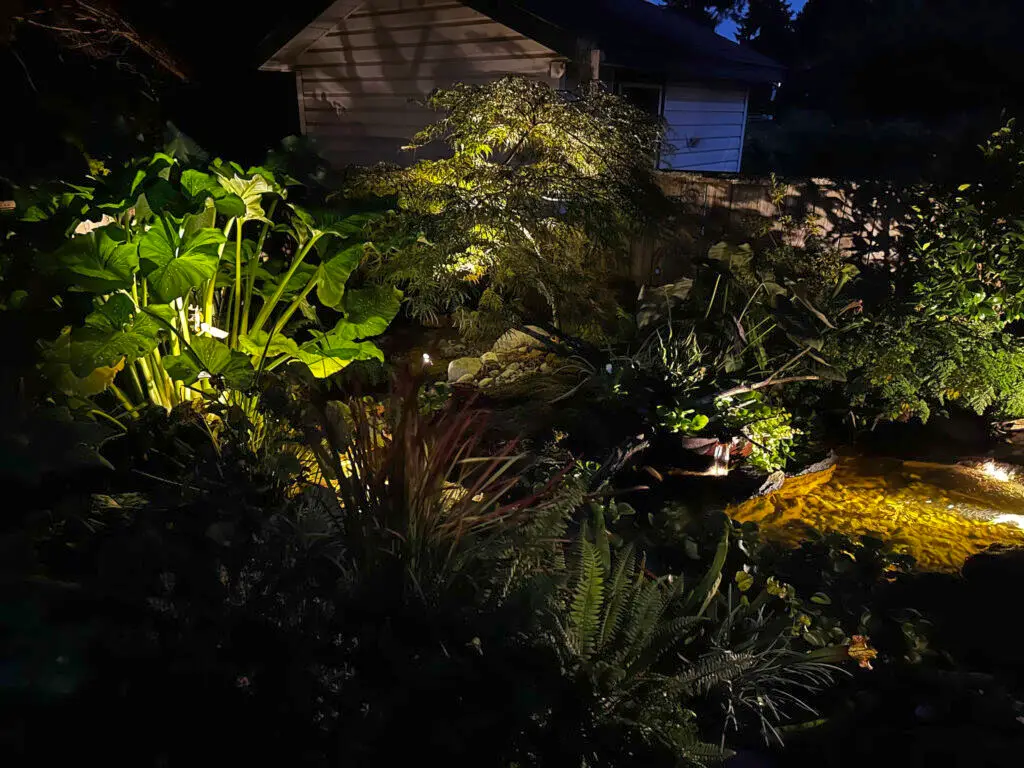 A lush garden at night is illuminated by outdoor lights, highlighting large leafy plants, ferns, and a small pond with glowing water next to a house. Shadows and light create a tranquil, inviting atmosphere.